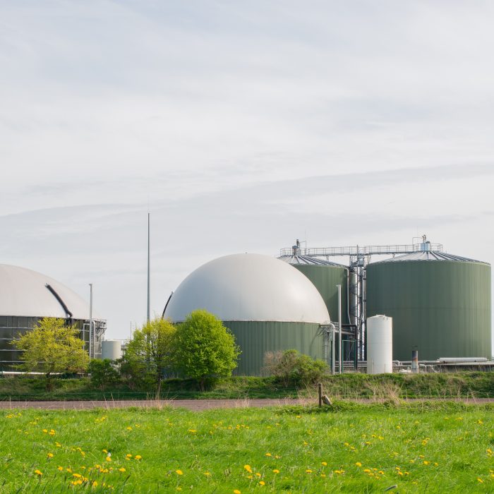 biogas-plant-power-generation-energy (1)